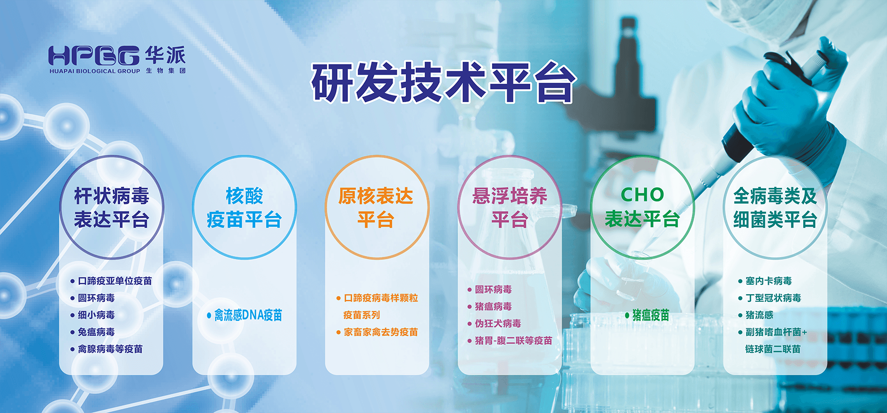 金狮贵宾会-宾至如归-尊贵-显赫