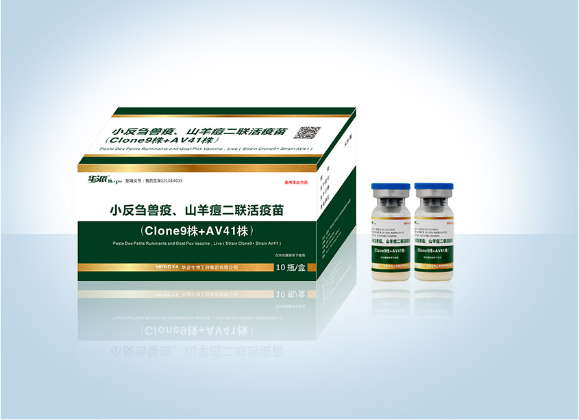 金狮贵宾会-宾至如归-尊贵-显赫